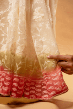 Triple Shaded Silk Organza Hand Painted Saree with Applique - Image 7