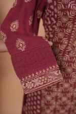 Red colored coimbatore cotton with Ghaspatti and phanda embroidery - Image 2