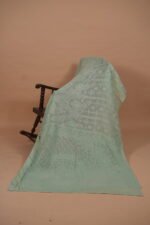 Pista green check organza saree