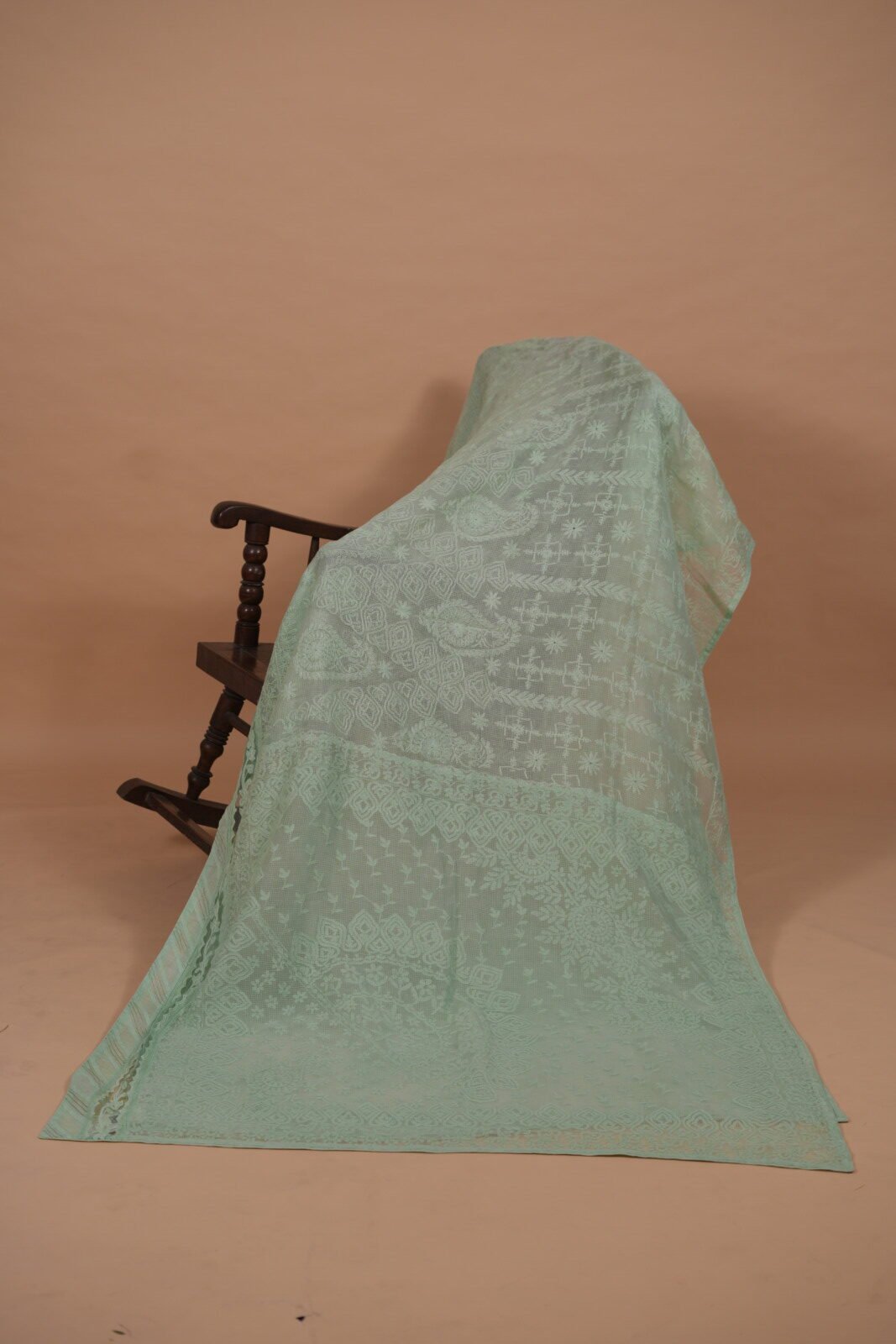 DSC03429 Pista green check organza saree - Image 1