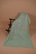 Pista green check organza saree - Image 2