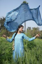 Blue Chikankari Suit Set with Beadwork - Image 5