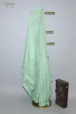 Pastel Green Silk Organza Chikankari Saree - Image 6