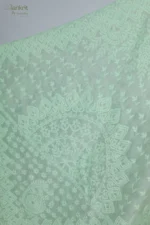 Pastel Green Silk Organza Chikankari Saree - Image 3