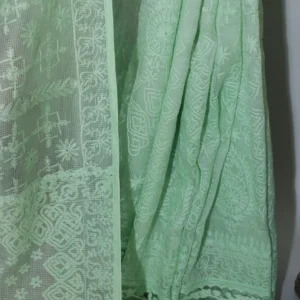 Pastel Green Silk Organza Chikankari Saree