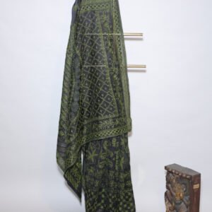 Black Organza Chikankari Saree with Blue & Red Threadwork