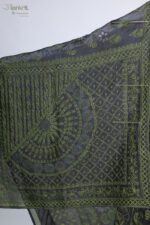 Black Organza Chikankari Saree with Blue & Red Threadwork - Image 3