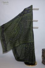 Black Organza Chikankari Saree with Blue & Red Threadwork - Image 5