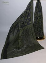 Black Organza Chikankari Saree with Blue & Red Threadwork - Image 6