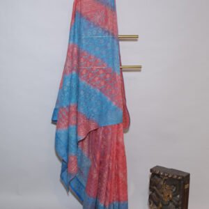 Blue and blush pink Shaded Organza Chikankari Saree