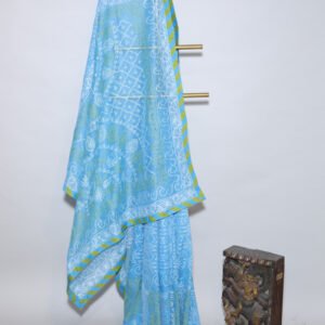 Sky Blue Organza Chikankari Saree with Green & White Threadwork