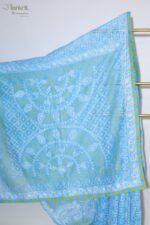 Sky Blue Organza Chikankari Saree with Green & White Threadwork - Image 4