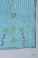 Warm Beige Organza Chikankari Saree with Red & Green Threadwork - Image 5