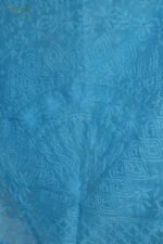 Azure Organza Chikankari Saree - Image 9
