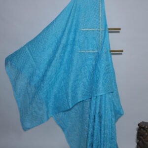 Azure Organza Chikankari Saree