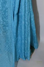 Azure Organza Chikankari Saree - Image 4