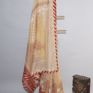 Beige Organza Chikankari Saree with Crimson Border