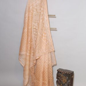 Orangish beige saree Organza Saree with Chikankari Embroidery