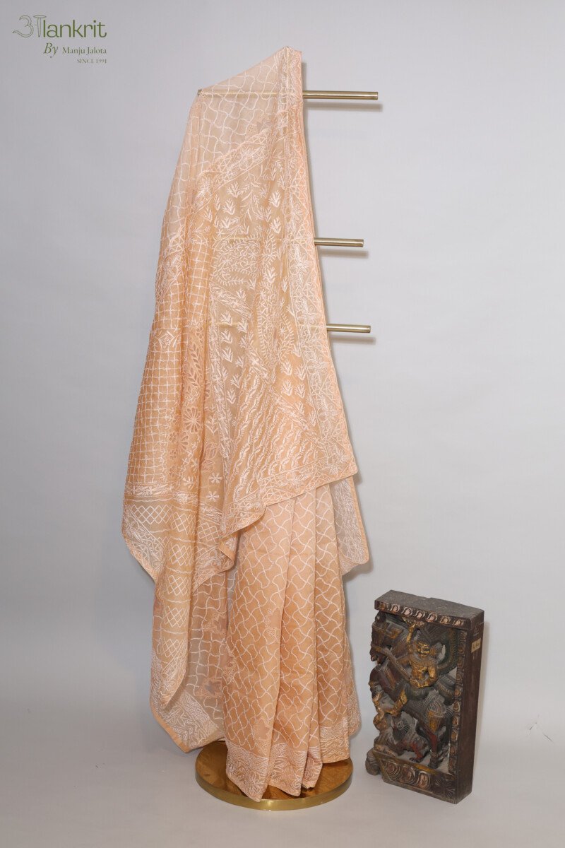 118A5704 (1) Orangish beige saree Organza Saree with Chikankari Embroidery - Image 1