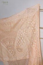 Orangish beige saree Organza Saree with Chikankari Embroidery - Image 3