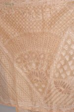 Orangish beige saree Organza Saree with Chikankari Embroidery - Image 4