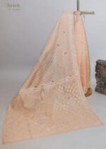 Orangish beige saree Organza Saree with Chikankari Embroidery - Image 6
