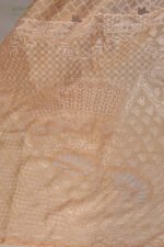 Orangish beige saree Organza Saree with Chikankari Embroidery - Image 7