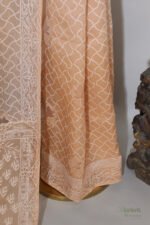 Orangish beige saree Organza Saree with Chikankari Embroidery - Image 9