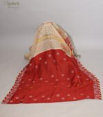 Beige Organza Chikankari Saree with Crimson Border - Image 8