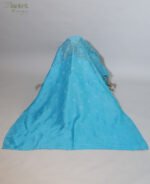 Azure Organza Chikankari Saree - Image 5