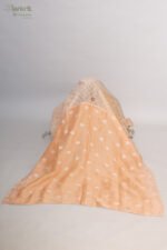 Orangish beige saree Organza Saree with Chikankari Embroidery - Image 10