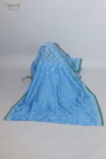 Sky Blue Organza Chikankari Saree with Green & White Threadwork - Image 9