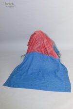 Blue and blush pink Shaded Organza Chikankari Saree - Image 7