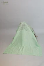 Pastel Green Silk Organza Chikankari Saree - Image 9
